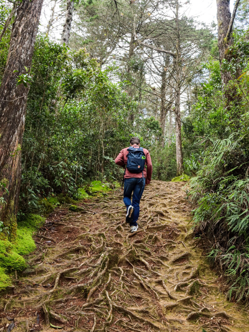 parque arvi, wandelroute