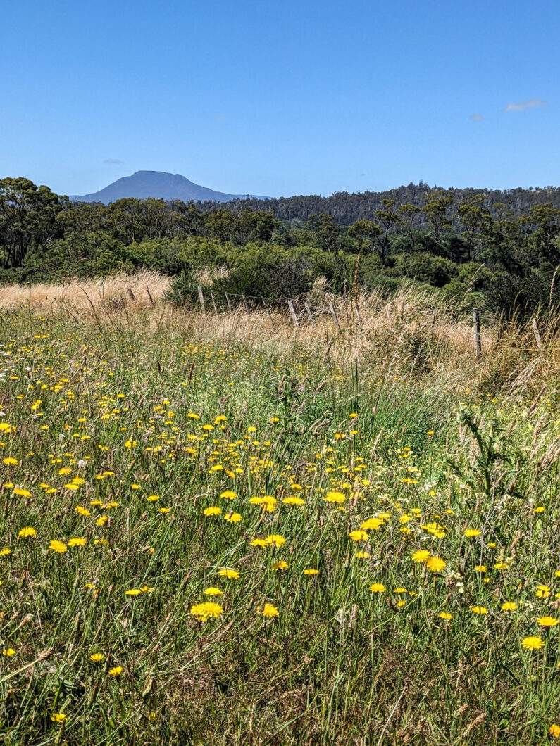 Deloraine, Tasmanië