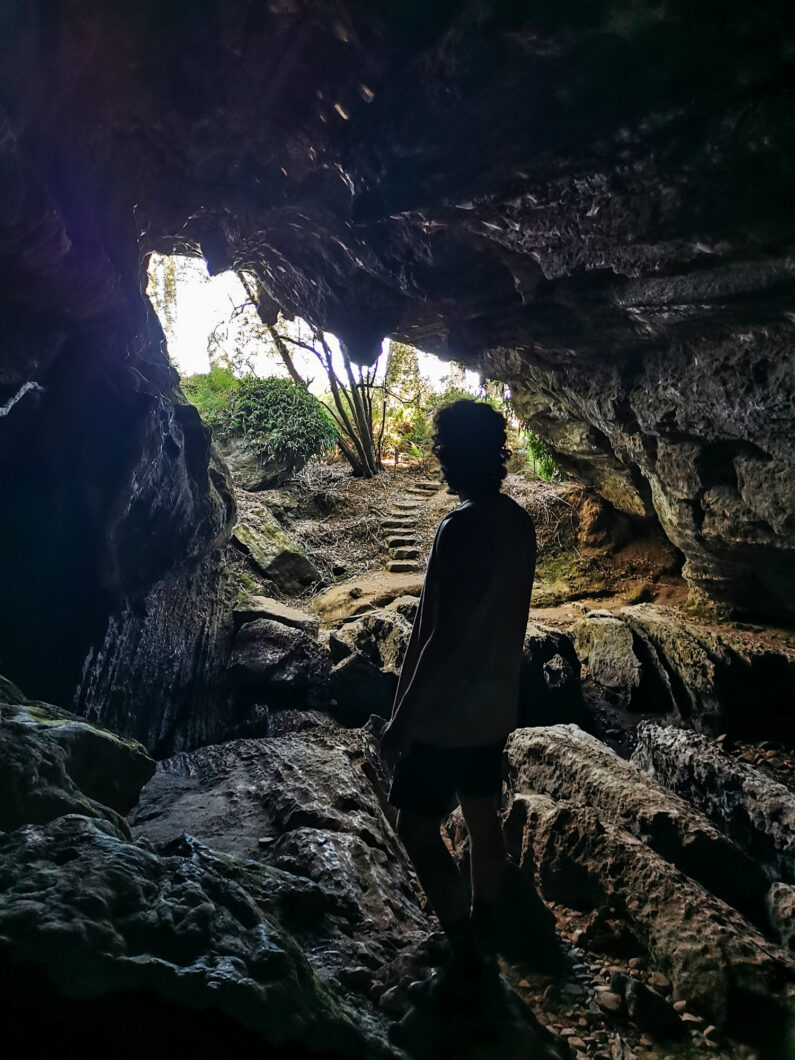 Tasmanië Deloraine Caves