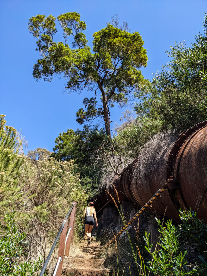 Tasmanië Launceston Cataract Gorge