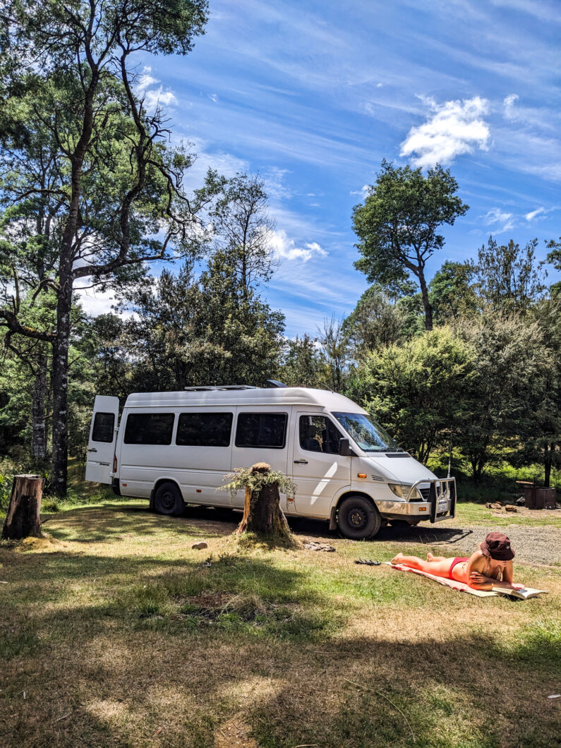Tasmanië Liffey Falls camping