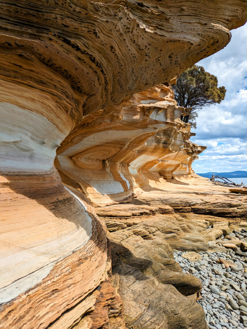 Tasmanië Maria Island, cliffs