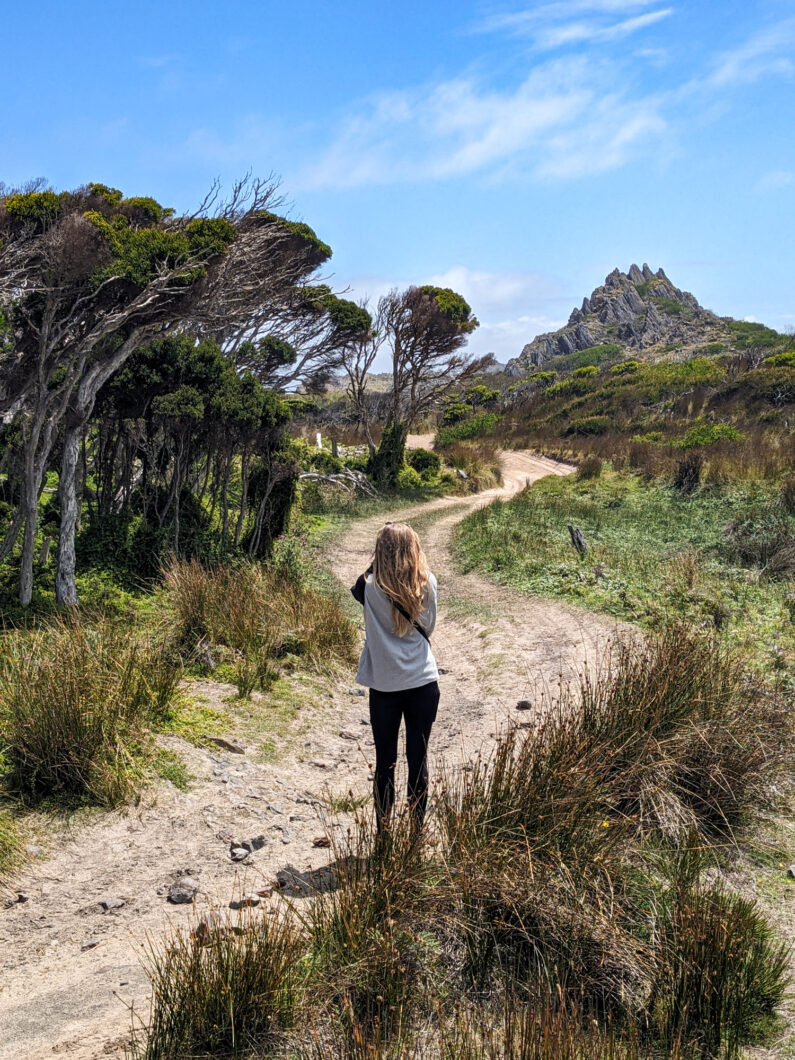 Tasmanië Tarkine Drive