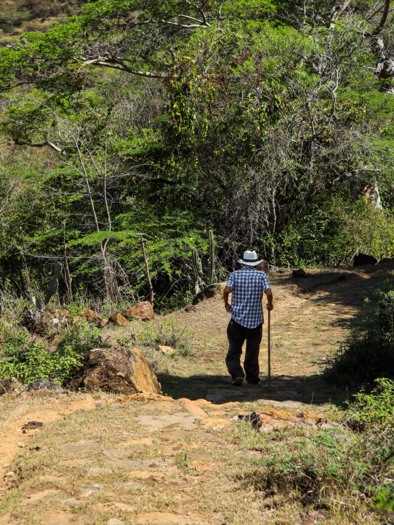 camino real, oude man, colombia