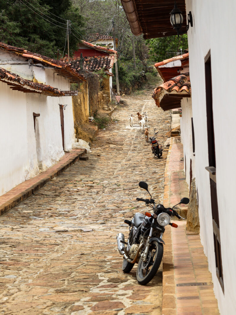 guane, straat met geitjes en motor