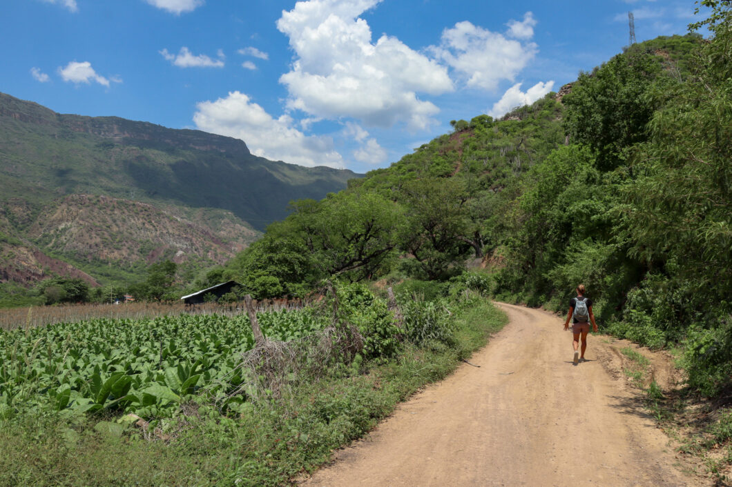 laatste deel camino real naar jordan