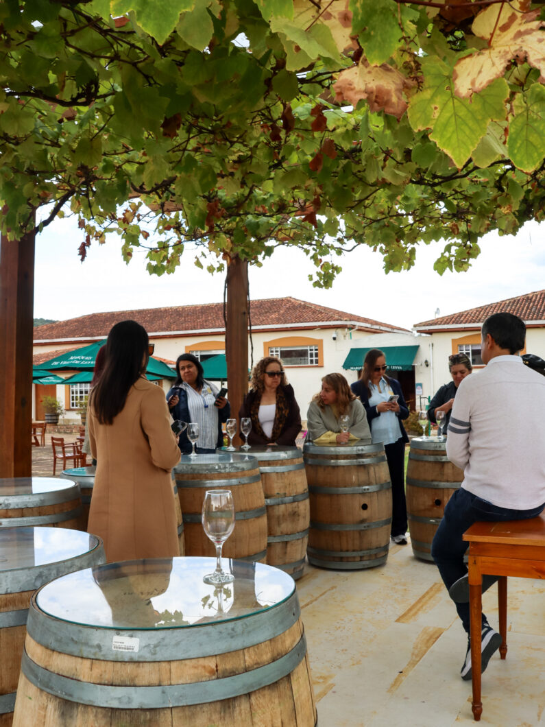 vinedo ain karim, villa de leyva