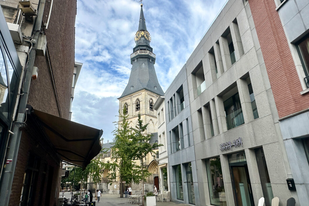 De toren van de Sint-Quintinuskathedraal boven de daken van het centrum van Hasselt