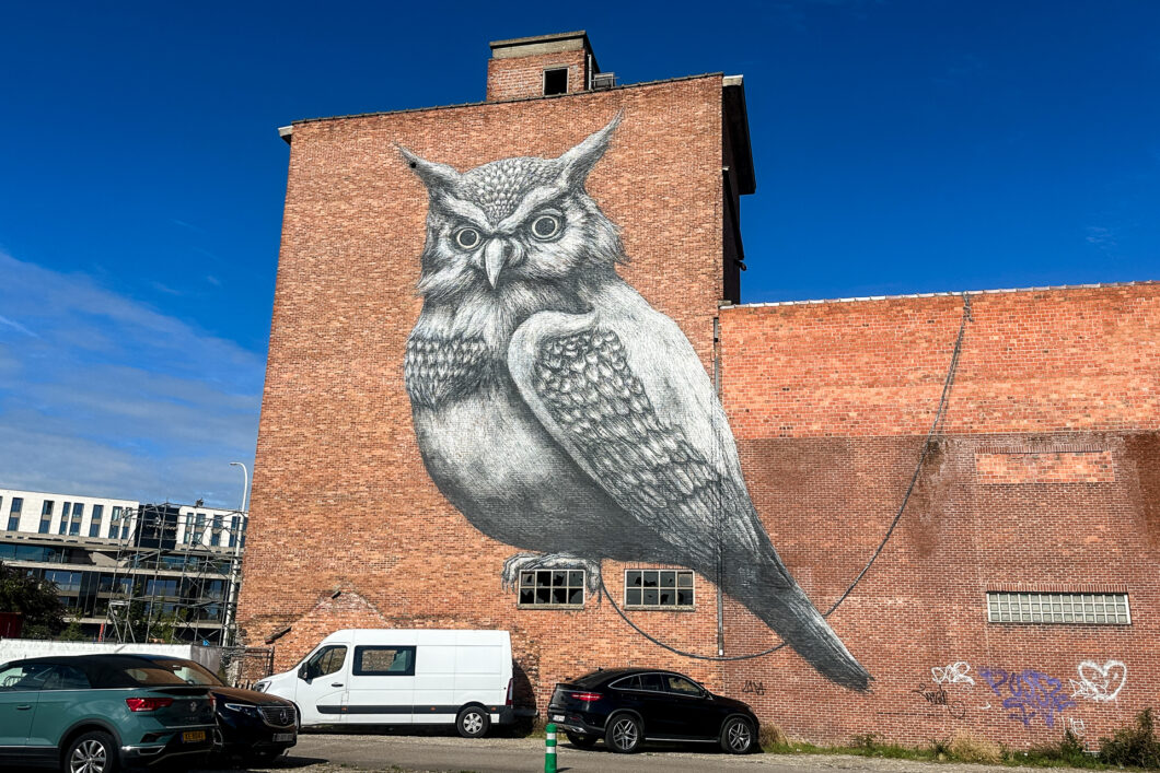 Enorme muurschildering van een uil op de oude mouttoren aan de haven van Hasselt