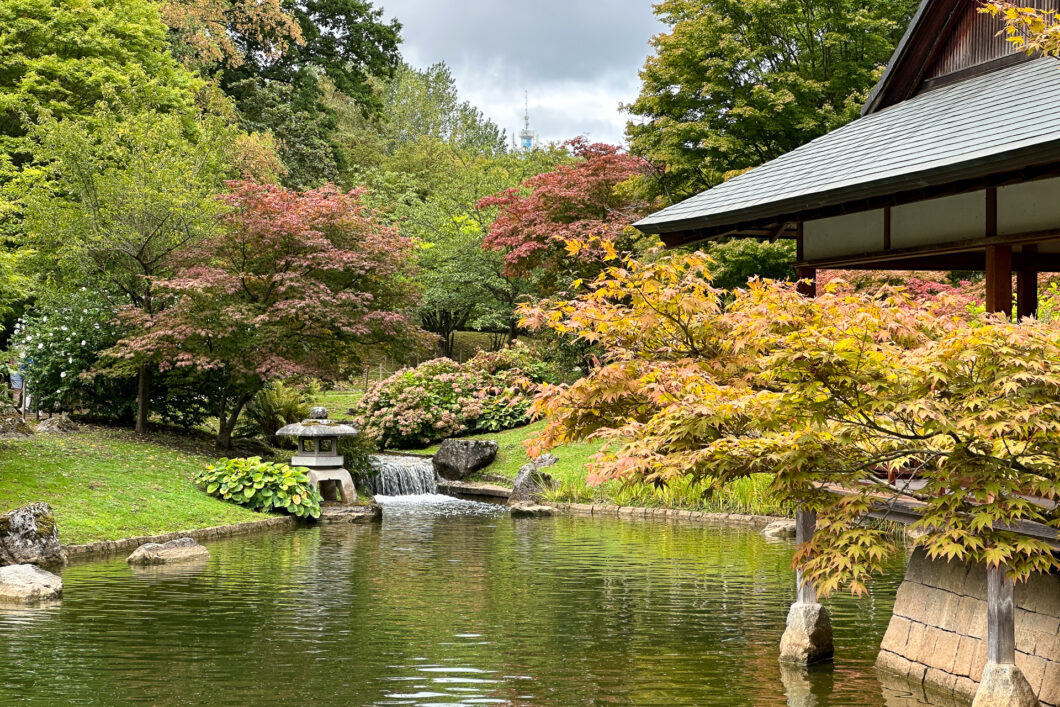 Een stenen lantaarn tussen het groen in de Japanse Tuin van Hasselt
