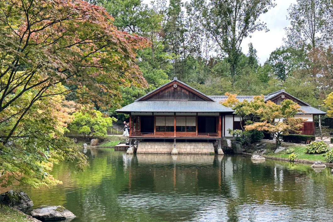 Het theehuis aan de vijver in de Japanse Tuin van Hasselt, met rode Japanse esdoorns ervoor