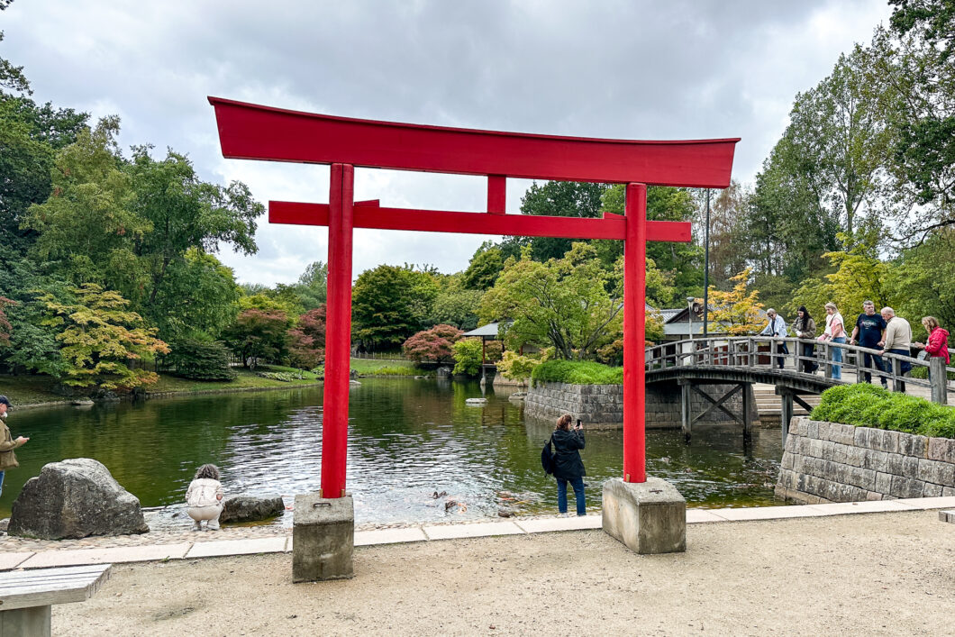 De rode torii aan de vijver in de Japanse Tuin van Hasselt
