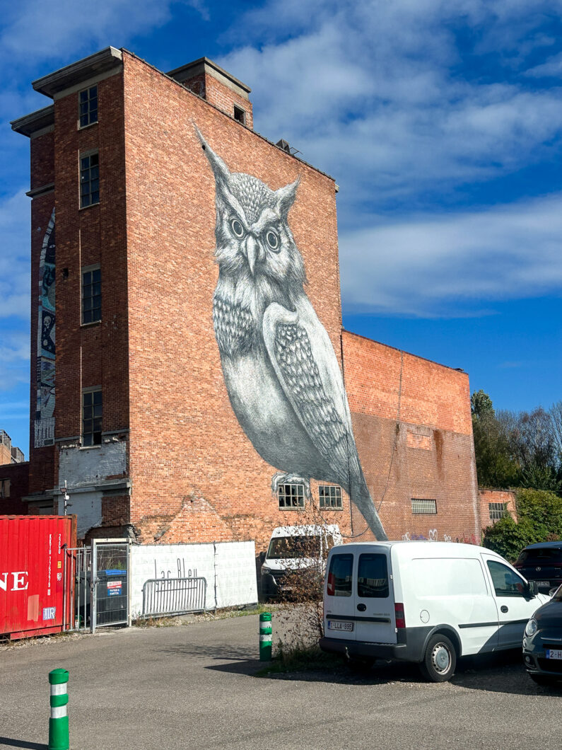 haven van hasselt muurschildering uil
