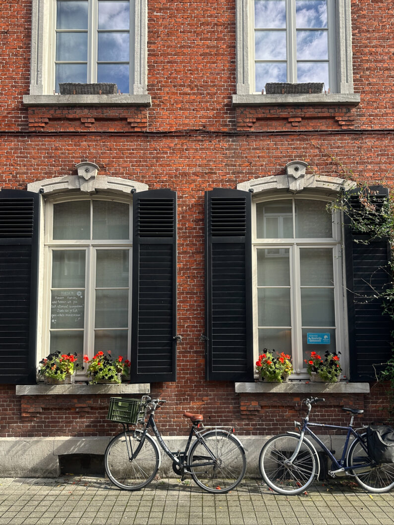 hemelrijk hasselt belgie