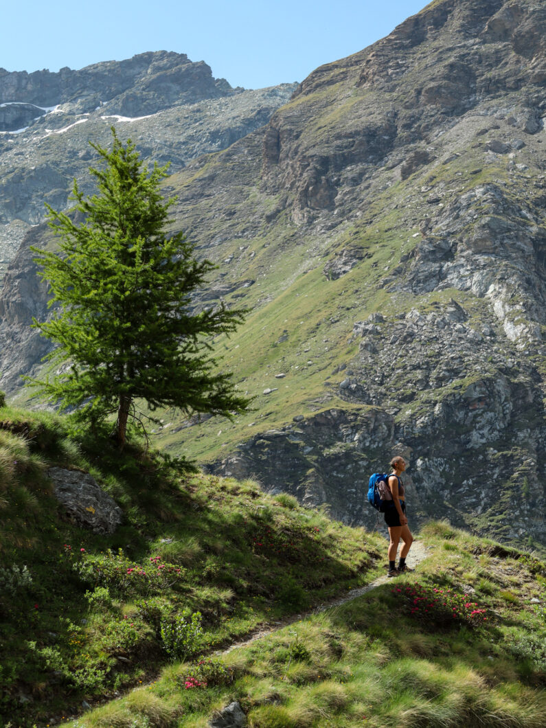 hike rifugio crest naar arp, champoluc