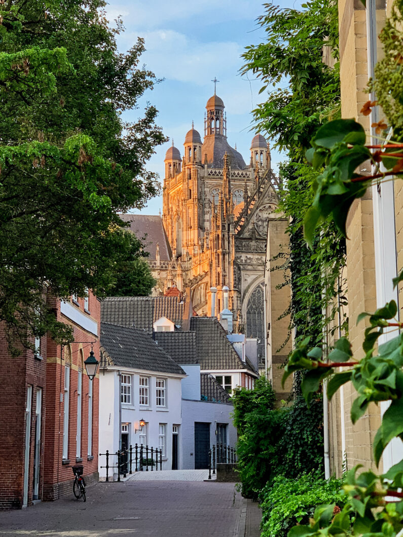 stedentrip Den Bosch