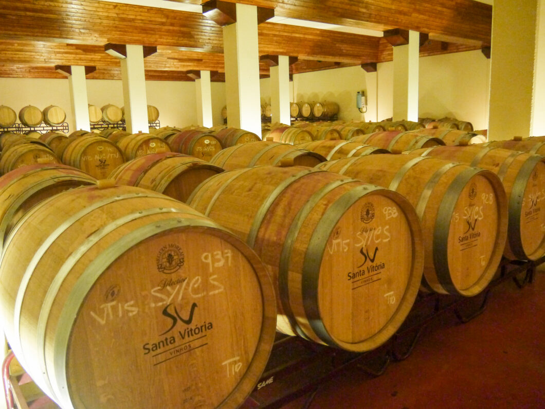 Wijnvaten in de wijnkelder van Herdade de Santa Vitória bij Beja